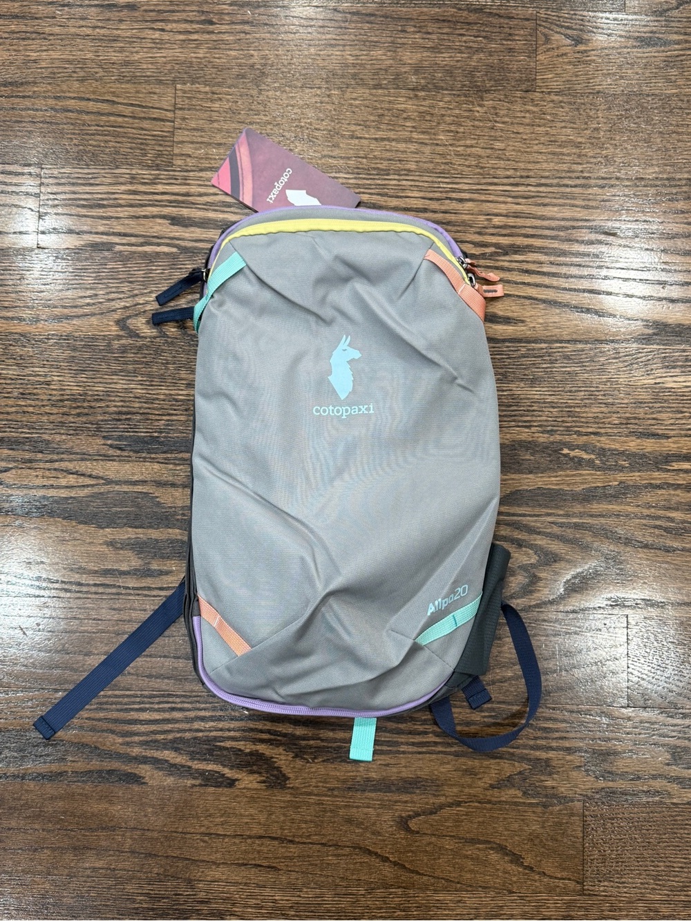 cotopaxi Allpa20 Daypack in Gray with Pastel Trim